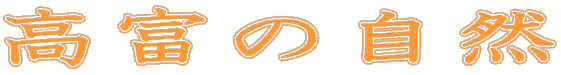 x̎R