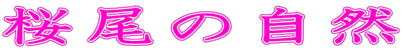 ̎R