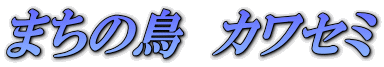 ܂̒@JZ~ 