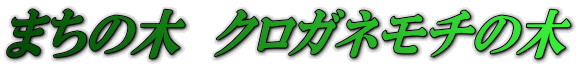 ܂̖؁@NKl`̖ 