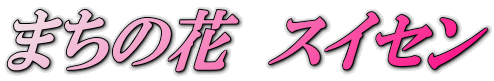 ܂̉ԁ@XCZ