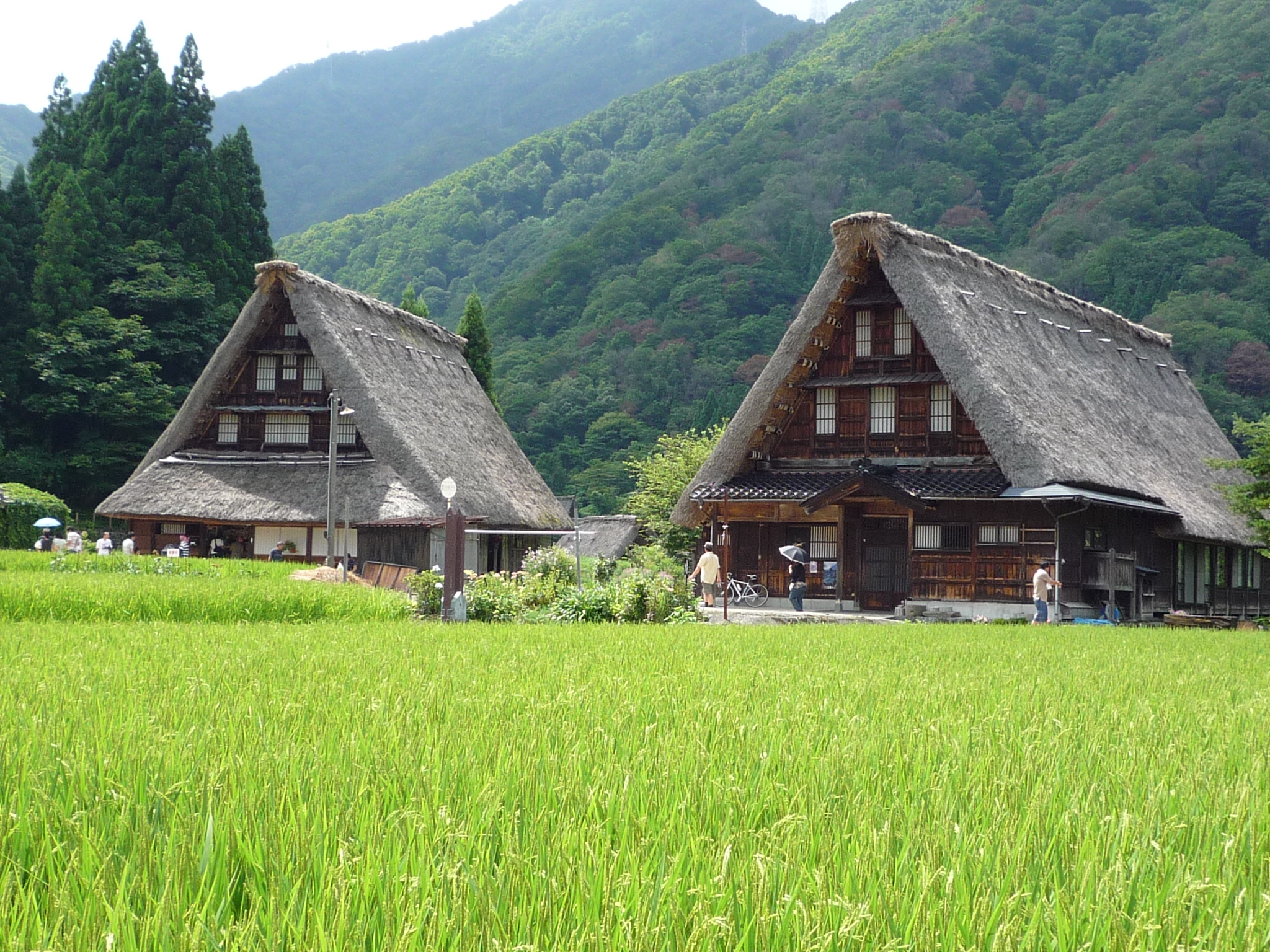 日本が誇る世界遺産-白川郷・五箇山の合掌造り集落-